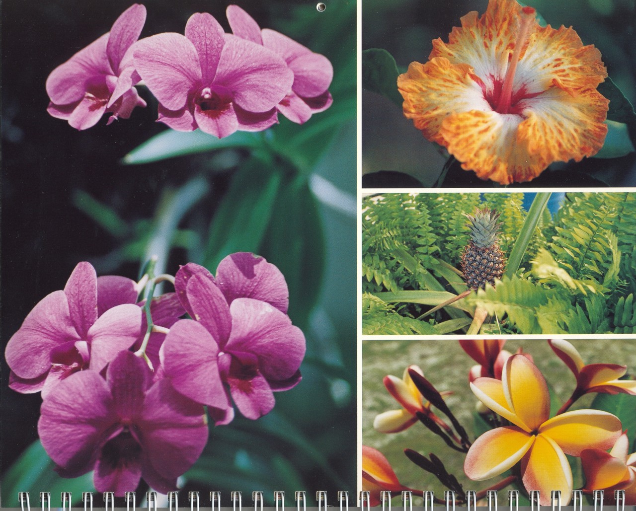 1997 Kwajalein Calendar February 1997 Kwajalein Calendar February